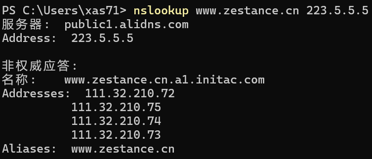 检查境内DNS解析